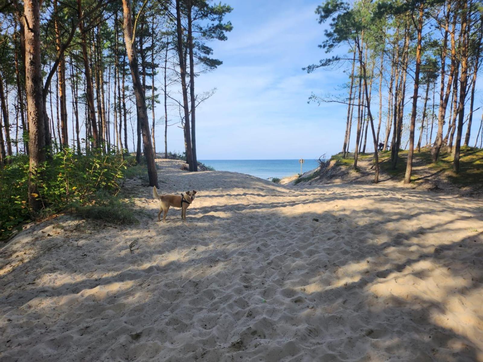 Domki Letniskowe U Zuni Chłopy Exteriér fotografie